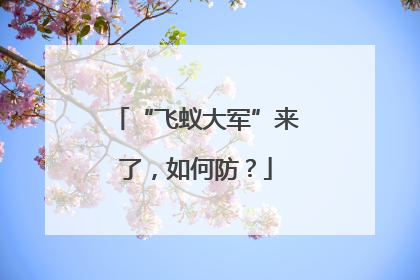 “飞蚁大军”来了，如何防？